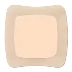 zyro image 2